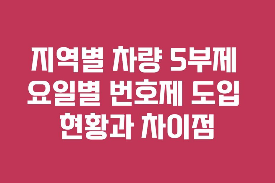 지역별 차량 5부제 요일별 번호제 도입 현황과 차이점