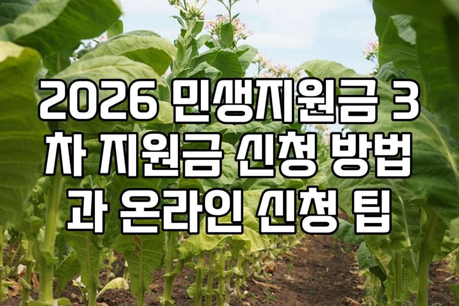 2026 민생지원금 3차 지원금 신청 방법과 온라인 신청 팁