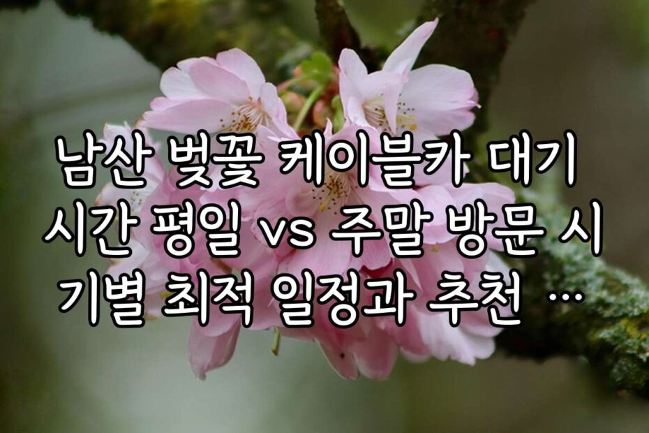 남산 벚꽃 케이블카 대기 시간 평일 vs 주말 방문 시기별 최적 일정과 추천 시기 안내