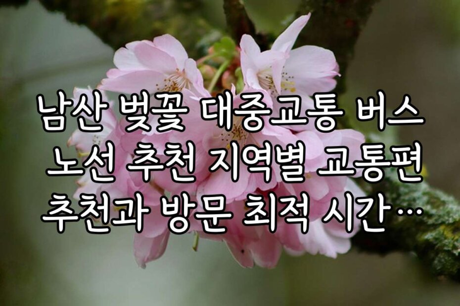 남산 벚꽃 대중교통 버스 노선 추천 지역별 교통편 추천과 방문 최적 시간 안내