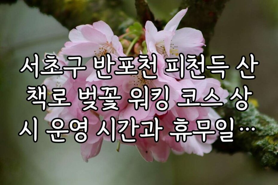 서초구 반포천 피천득 산책로 벚꽃 워킹 코스 상시 운영 시간과 휴무일 안내