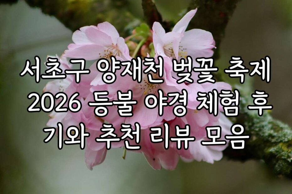 서초구 양재천 벚꽃 축제 2026 등불 야경 체험 후기와 추천 리뷰 모음