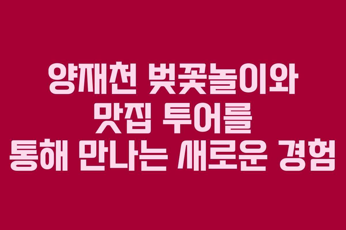 양재천 벚꽃놀이와 맛집 투어를 통해 만나는 새로운 경험