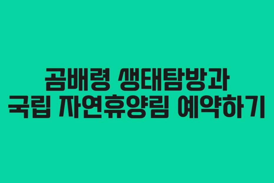 곰배령 생태탐방과 국립 자연휴양림 예약하기