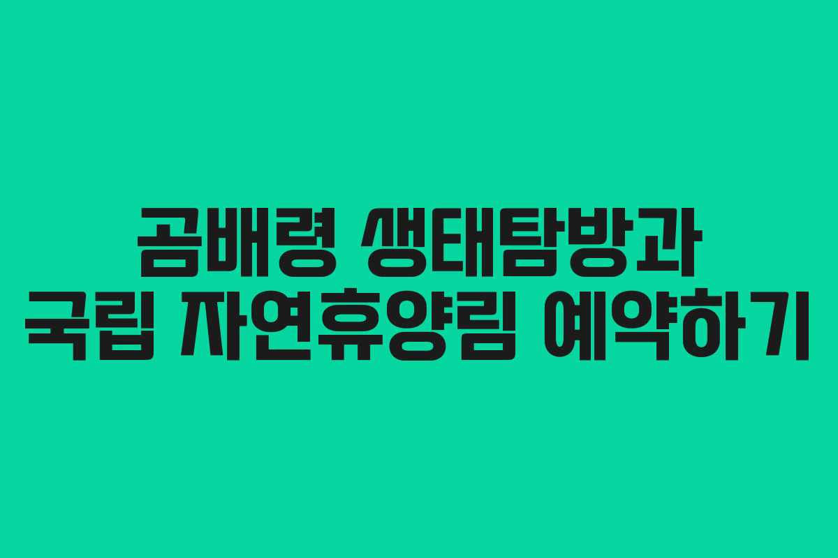 곰배령 생태탐방과 국립 자연휴양림 예약하기