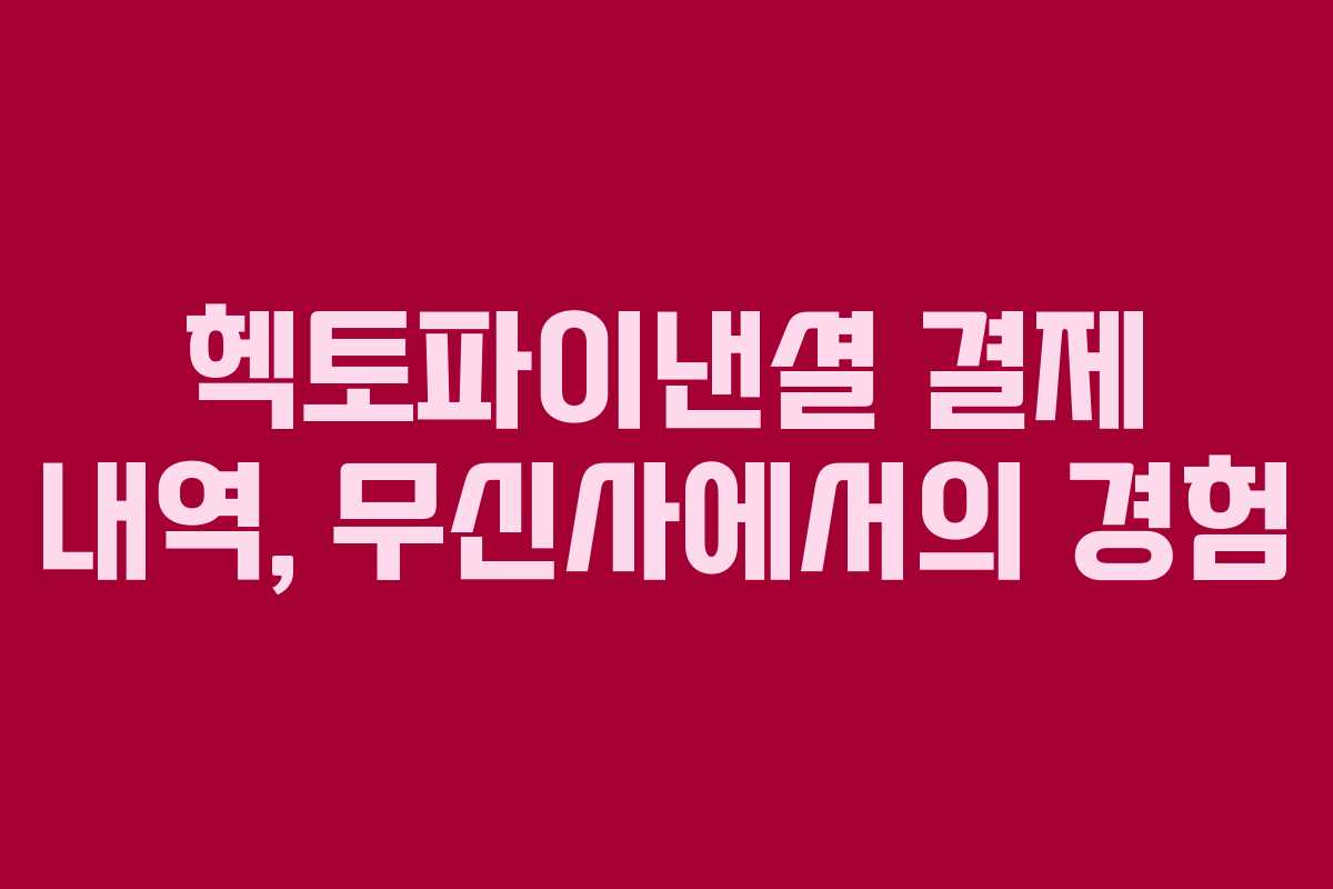 헥토파이낸셜 결제 내역, 무신사에서의 경험