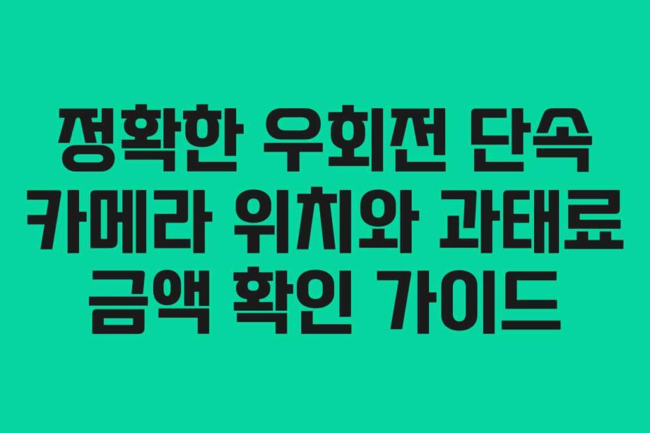 정확한 우회전 단속 카메라 위치와 과태료 금액 확인 가이드