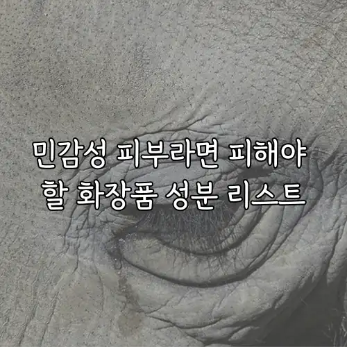 민감성 피부라면 피해야 할 화장품 성분 리스트