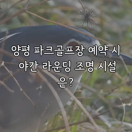 양평 파크골프장 예약 시 야간 라운딩 조명 시설은?