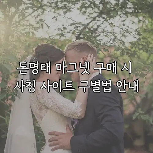 돈명태 마그넷 구매 시 사칭 사이트 구별법 안내