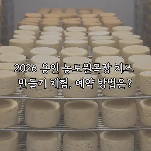 2026 용인 농도원목장 치즈 만들기 체험, 예약 방법은?