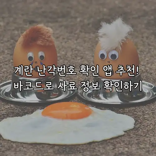 계란 난각번호 확인 앱 추천! 바코드로 사료 정보 확인하기