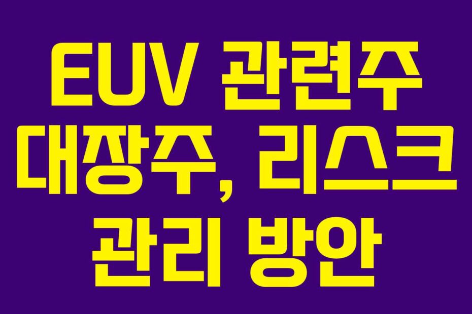 EUV-관련주-대장주,-리스크-관리-방안