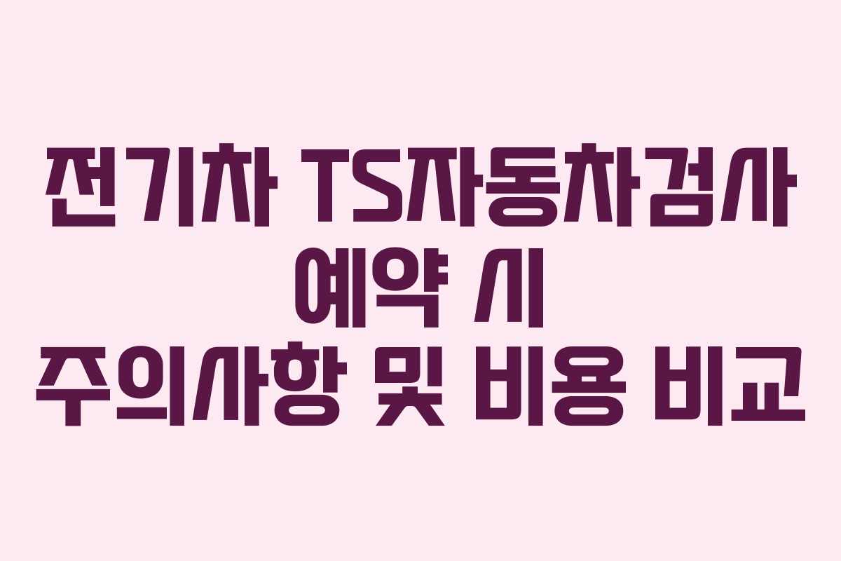 전기차 TS자동차검사 예약 시 주의사항 및 비용 비교