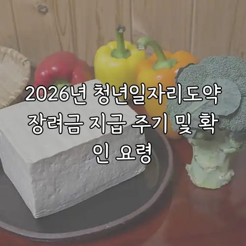 2026년 청년일자리도약장려금 지급 주기 및 확인 요령