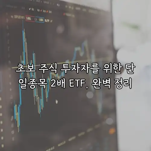 초보 주식 투자자를 위한 단일종목 2배 ETF, 완벽 정리