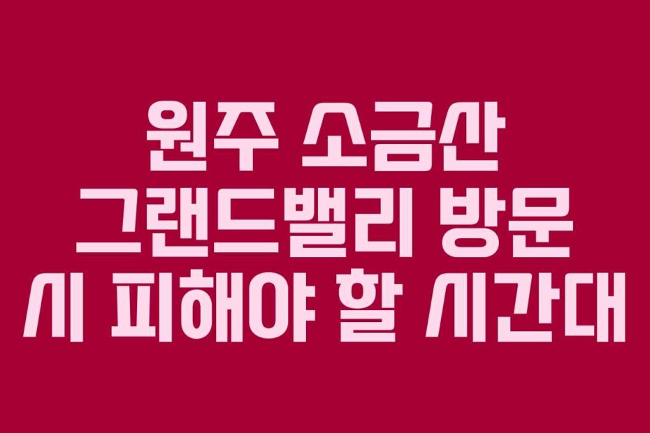 원주-소금산-그랜드밸리-방문-시-피해야-할-시간대