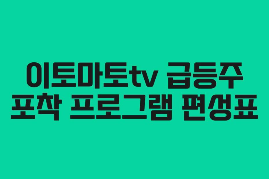 이토마토tv-급등주-포착-프로그램-편성표