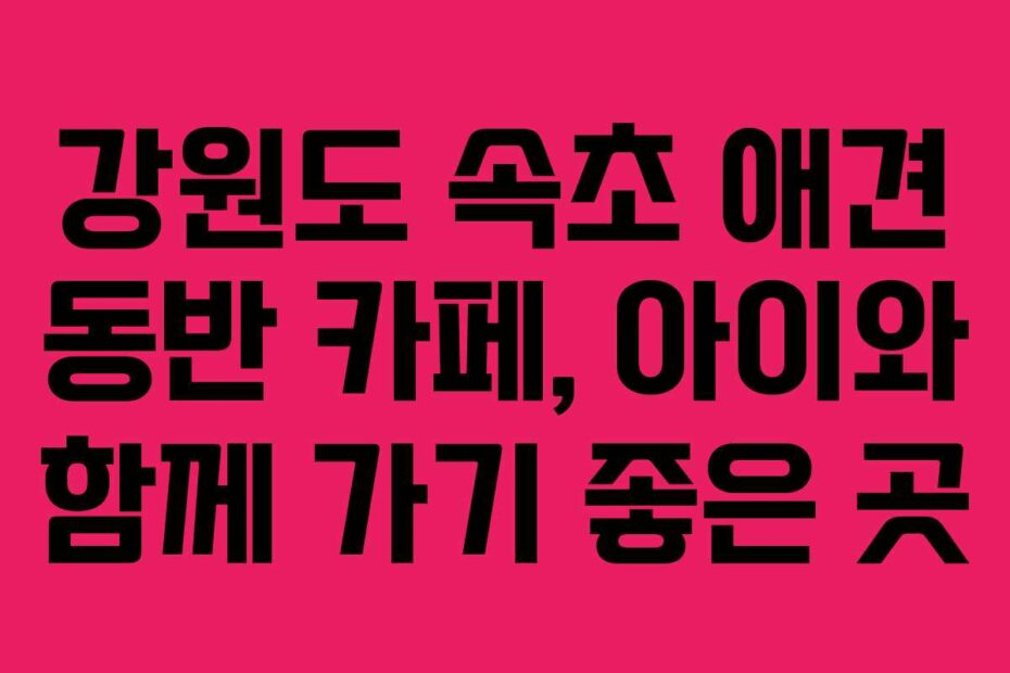 강원도-속초-애견-동반-카페,-아이와-함께-가기-좋은-곳