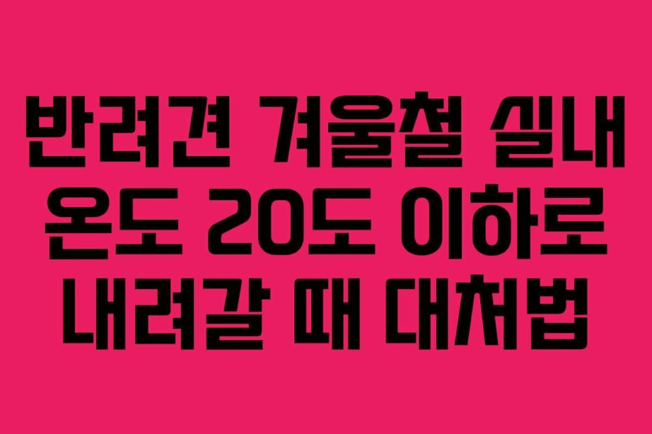 반려견-겨울철-실내-온도-20도-이하로-내려갈-때-대처법